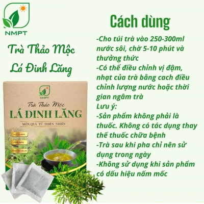 Trà thảo mộc lá đinh lăng